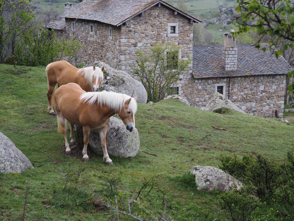 Ferme Can Llull Enveitg Exterior foto